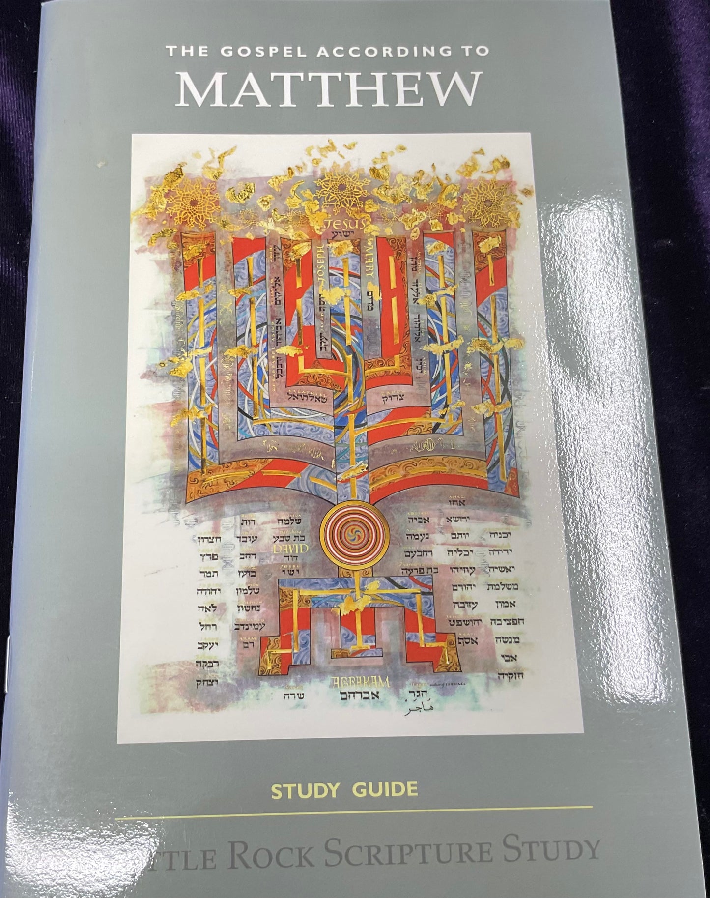 The Gospel According to Matthew with Study Guide