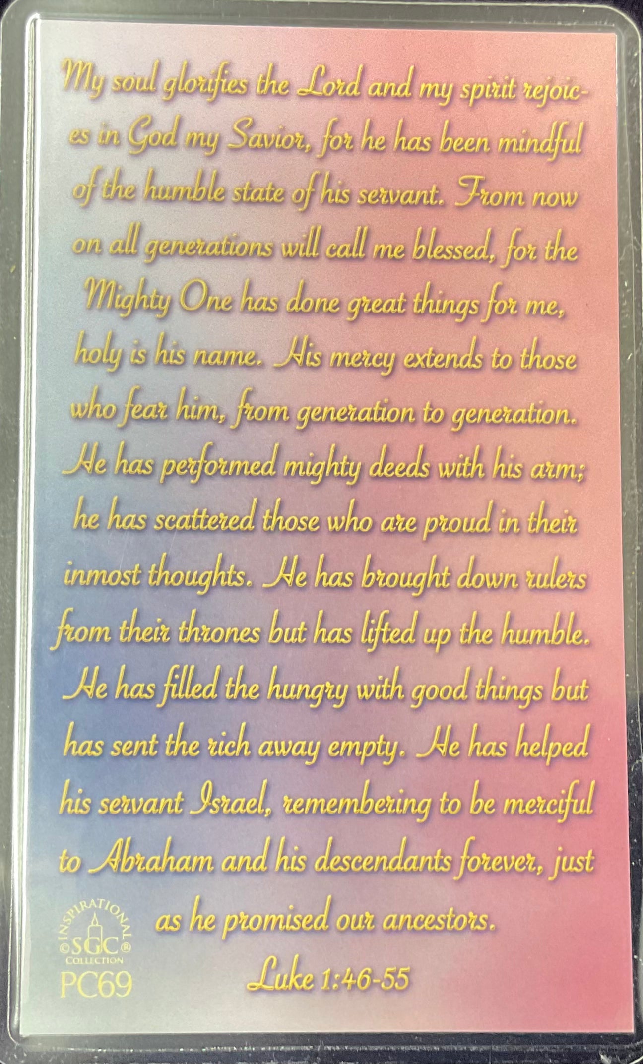 Visions of Mary Prayer Card
