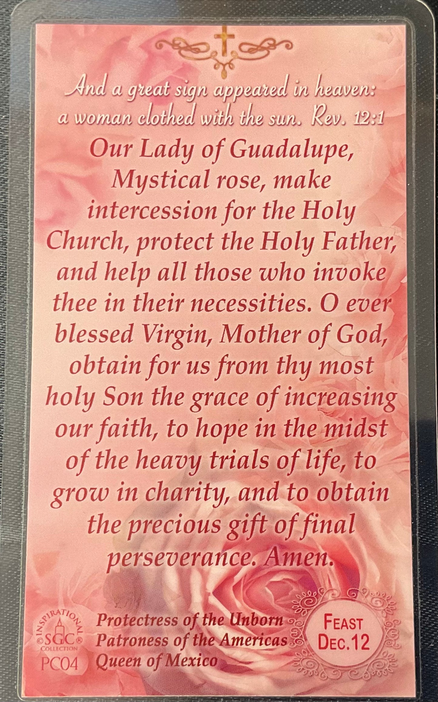 Our Lady of Guadalupe Prayer Card